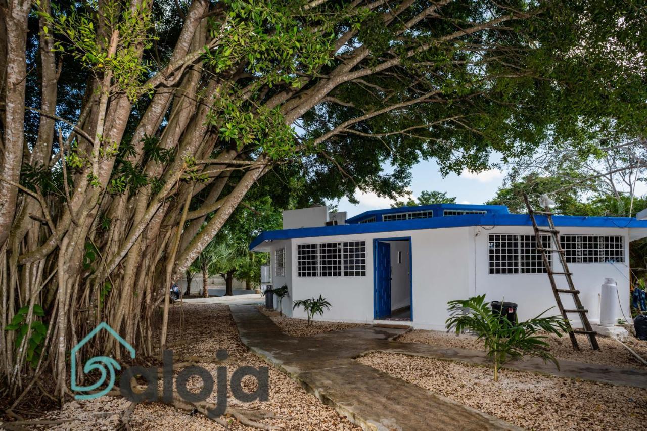 Villa Xtohil With Private Access To The Magic 7 Colors Lagoon Bacalar Exterior foto